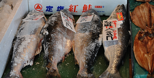 Verstrahlte Fische bald auf unseren Tellern?