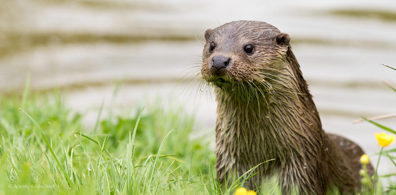 Jetzt mitmachen: Schützt unser Wasser!