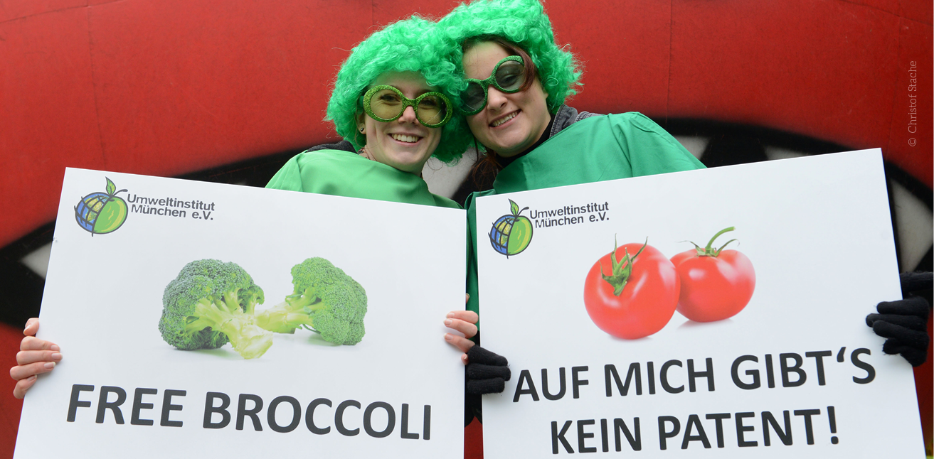 Patente auf Leben: Langer Atem zahlt sich aus