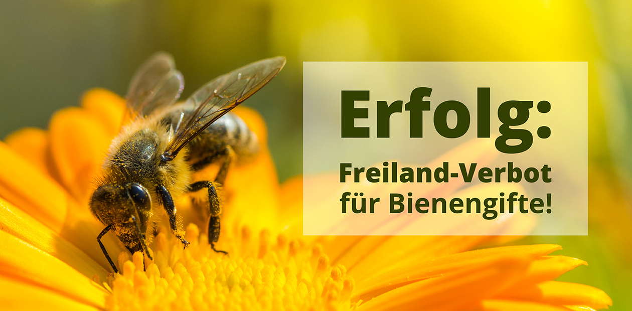 Erfolg: Freilandverbot für Bienengifte