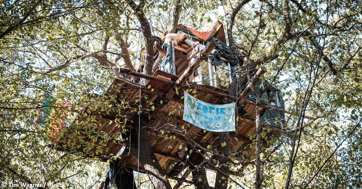 Solidarität mit den AktivistInnen im Hambacher Forst