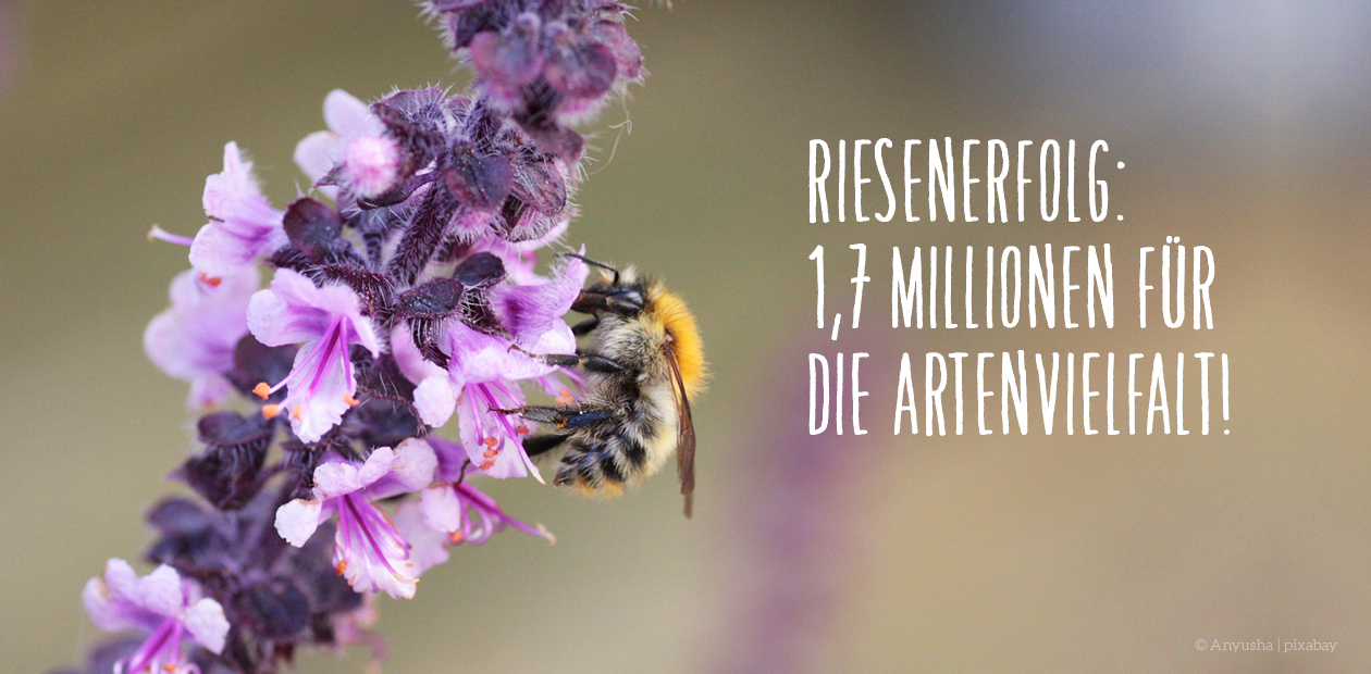 Riesenerfolg für Volksbegehren „Rettet die Bienen“