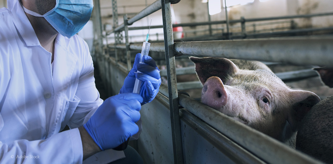 Jetzt mitmachen: Kein Antibiotika-Missbrauch im Stall!