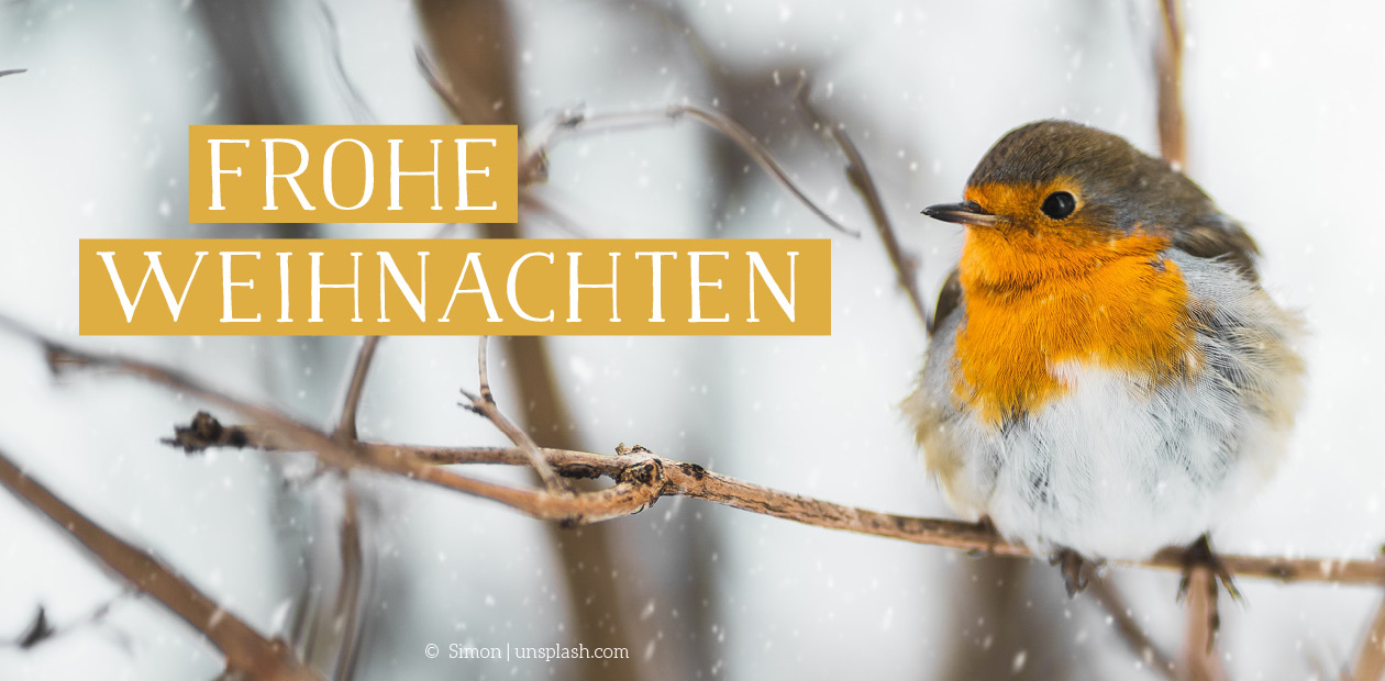 Frohe Weihnachten